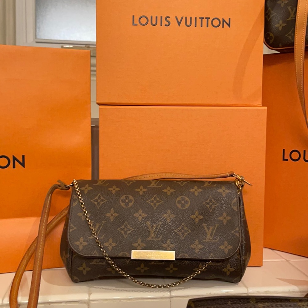 LOUIS VUITTON
Monogram Favorite MM Authentic
